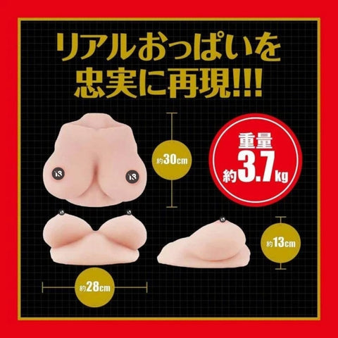 EXE JAPANESE REAL OPPAI 高橋聖子 超仿真乳房 女優名器 Waddy Store 